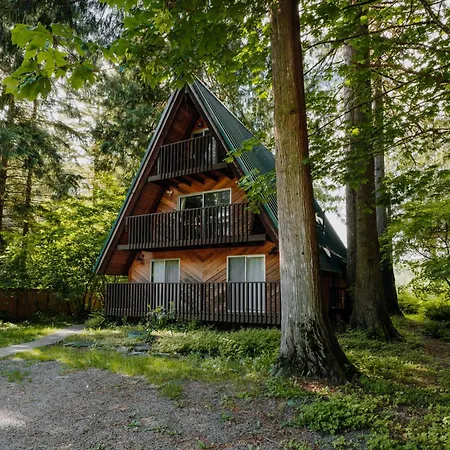 Spacious North Cascades Riverside A-Frame With Mt Baker Views - Dog-Friendly